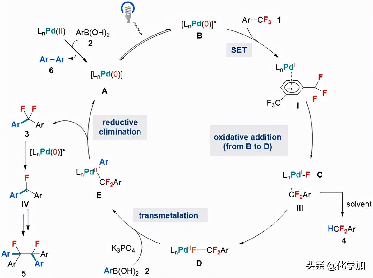 上海有机化学研究所实验室,上海有机所和成都有机所