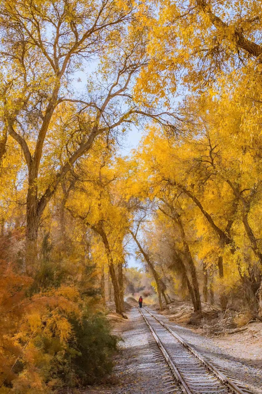 学习有乐趣的句子,学习有乐趣绘本音频