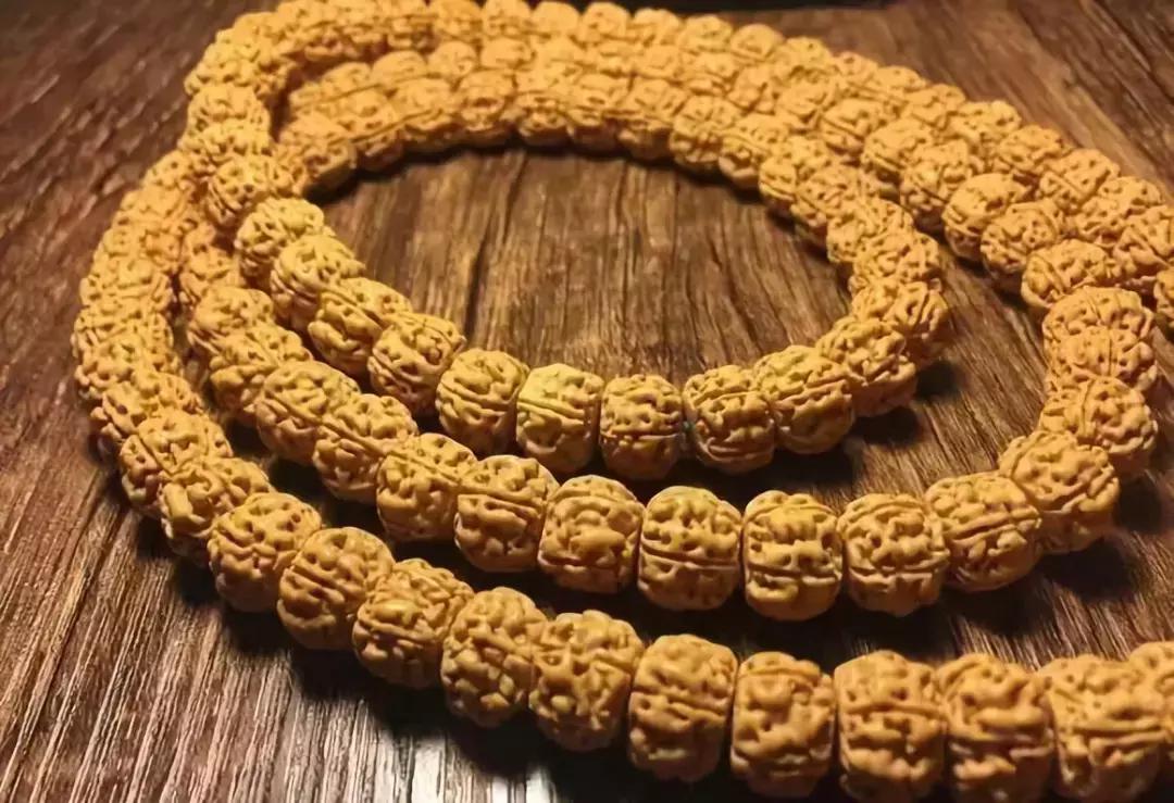 金刚贵贱区别,金刚菩提多久能红