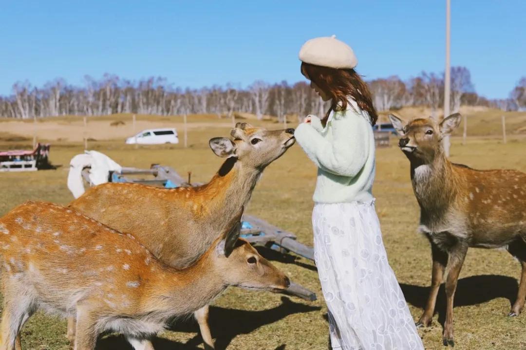 一个被裁员的逆袭故事,从被裁员到创业成功赚到第一桶金