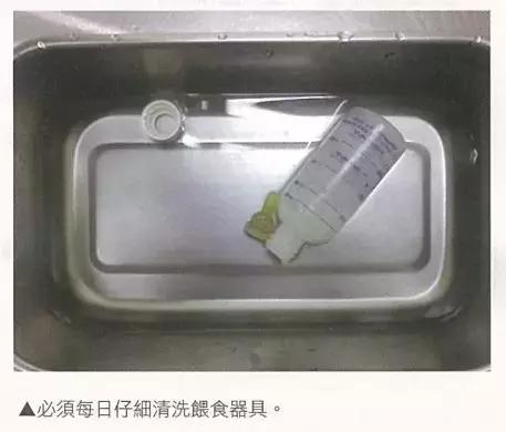 小猫喂食的注意事项,新生小猫怎么喂营养膏