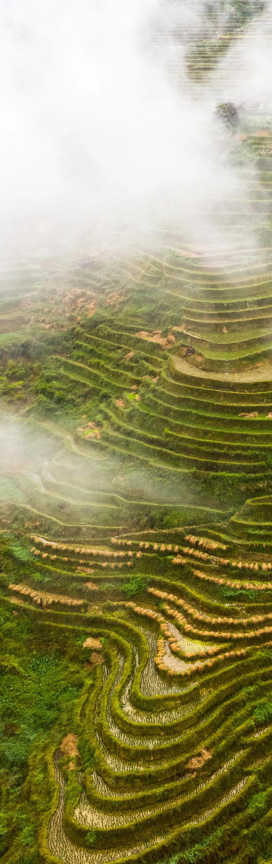 农造田野丨总有一根神经通往乡野|月亮山百里梯田