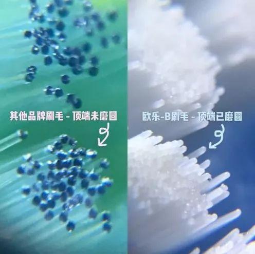 双十一值得入手的牌子,双十一推荐必买