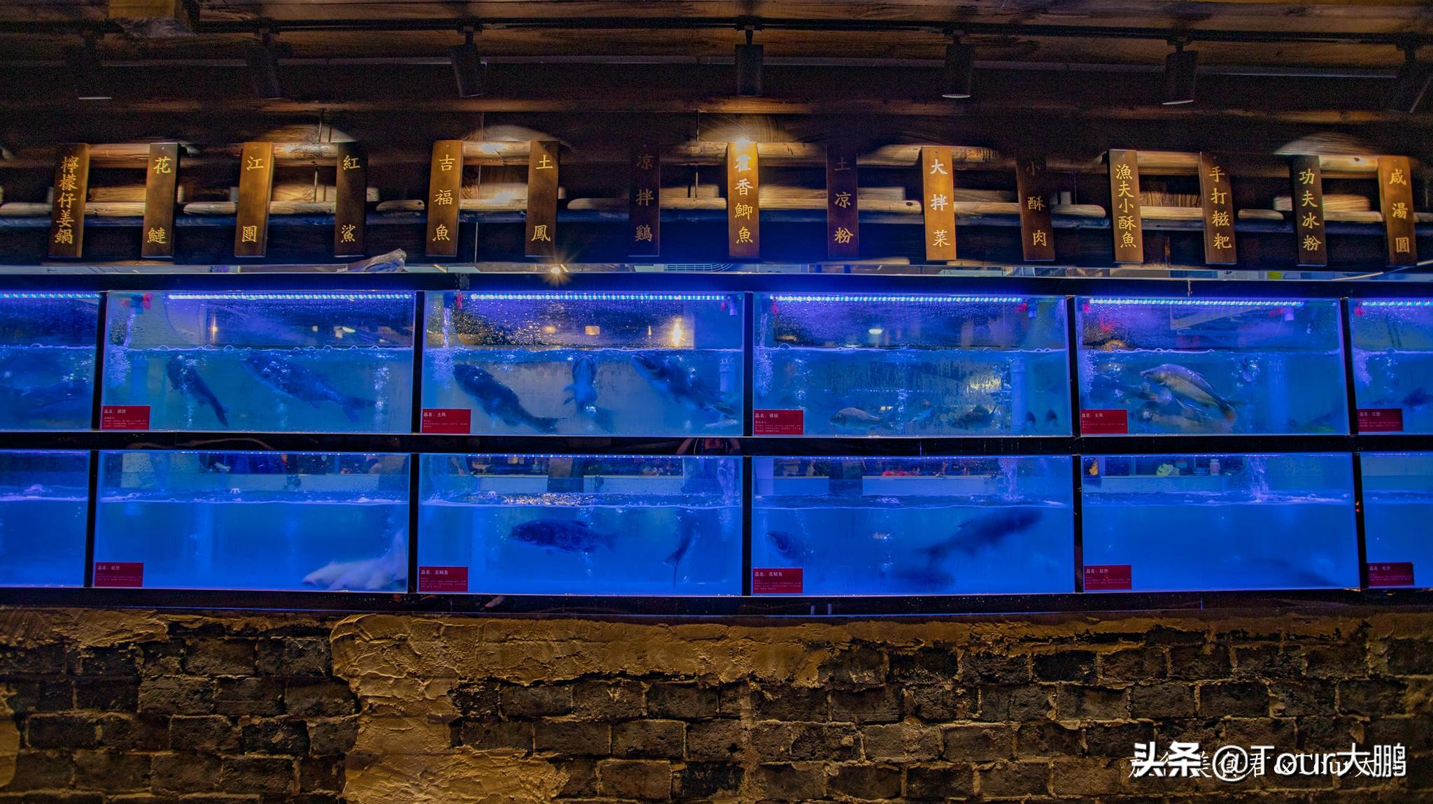 成都天府二街美食,成都天府夜间美食攻略