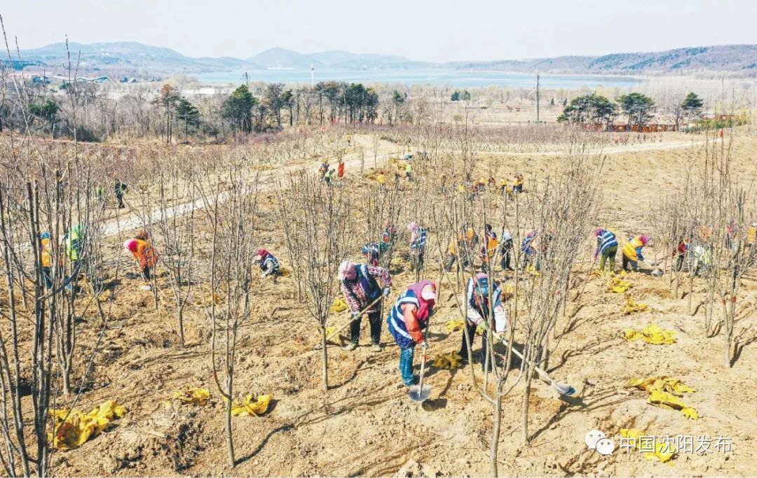 带你去美颜,明天一起去大理