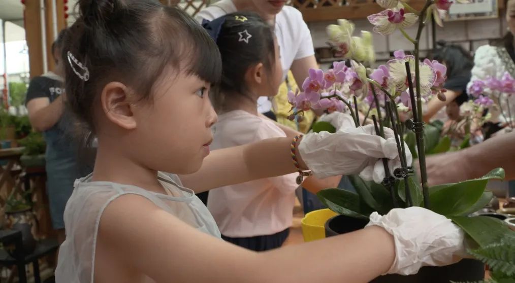 致富经：一株草要价上百万？兰花让我一夜暴富