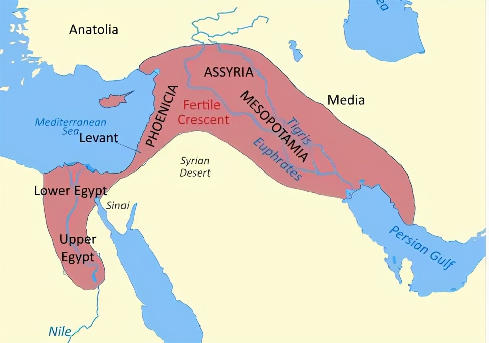 犹太人和巴勒斯坦人有什么区别,犹太人和以色列人有何区别