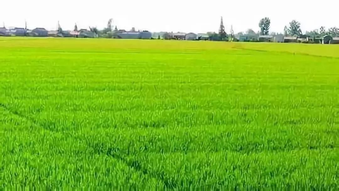 疫情过后你会发现，在海南能有套房是生命和健康