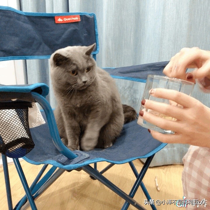 夏天必备单品清单,夏天必备的10种利器