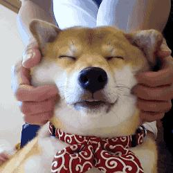 智能按摩，记录健康数据，这款智能马桶让你用了就再也忘不掉