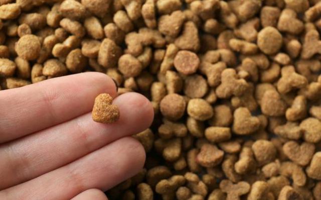 这7种食物天生带毒对狗狗很危险,这四种水果被列入致癌的黑名单