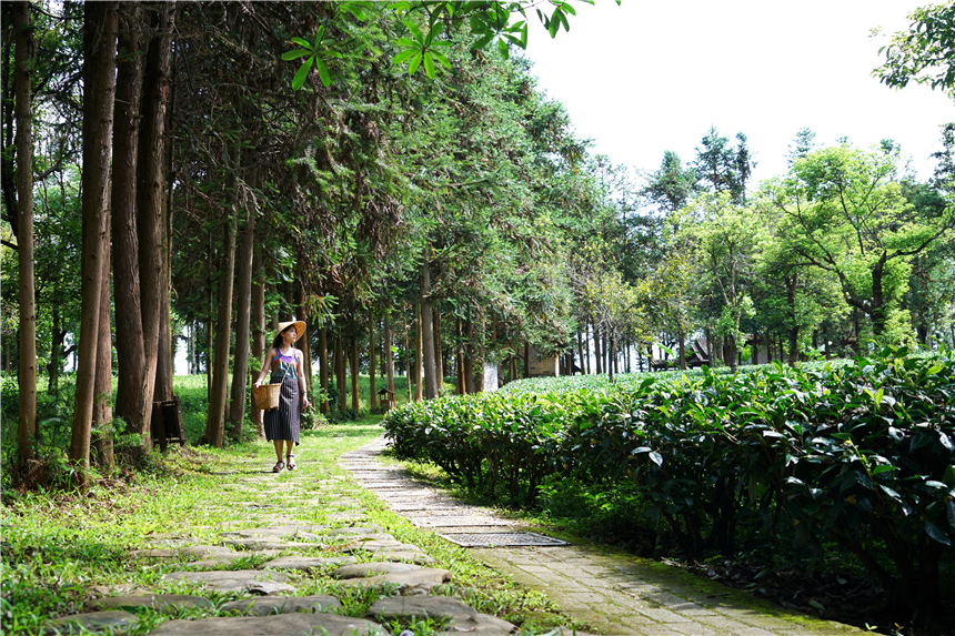 云南小众的养老旅居城市,云南昆明适合养老吗