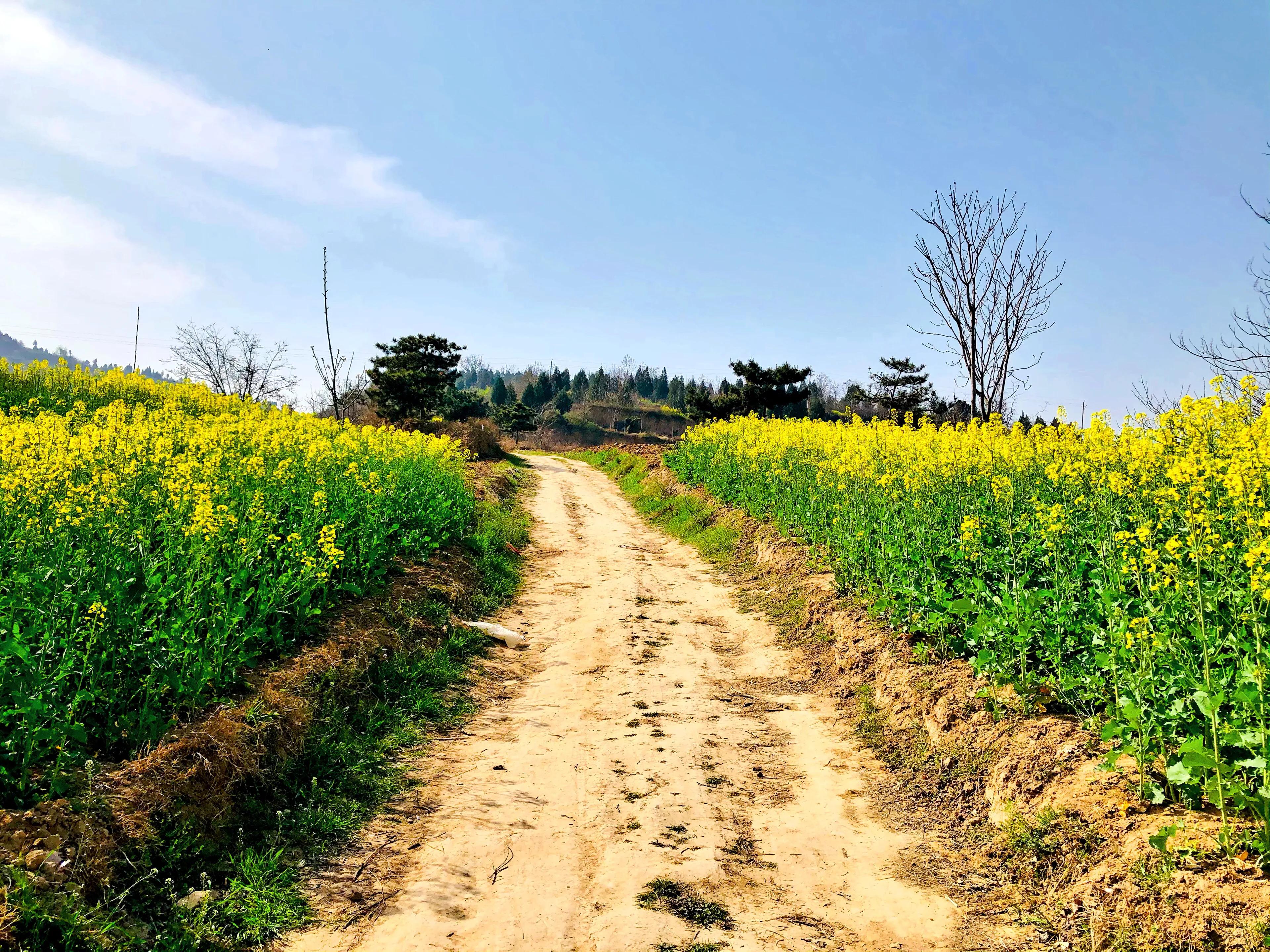 金塘半日游,白鹿原一日游攻略