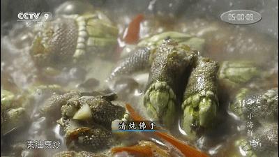 来自地狱的美食藤壶,到底有多可怕?看鲸鱼被折磨的样子就懂了