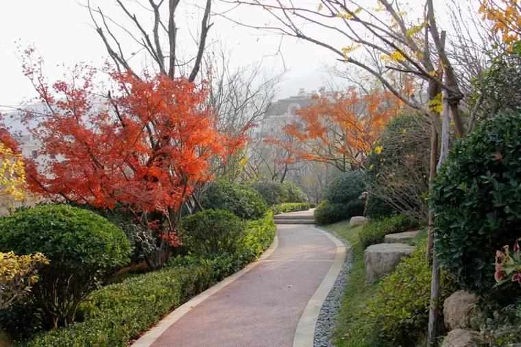 居住区植物景观设计原则,景观设计干货