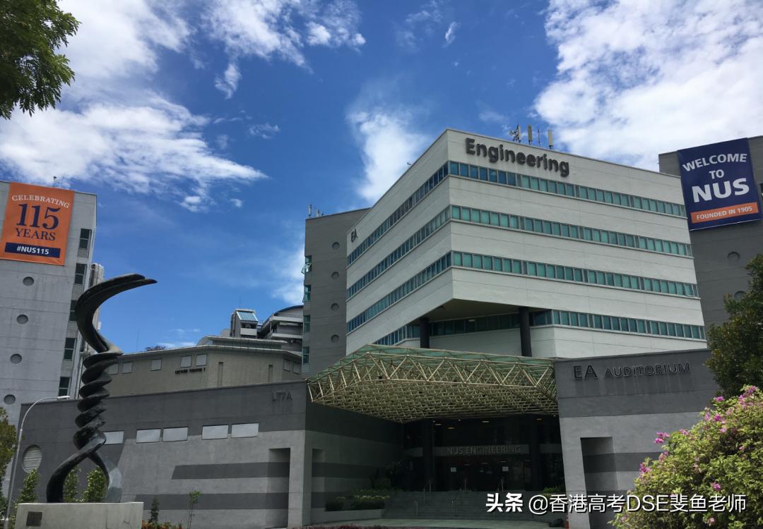 鲸帆dse国际,鲸帆dse国际学校创作人