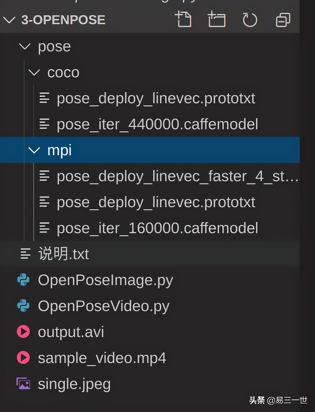 openpose人体姿态识别,openpose抖音