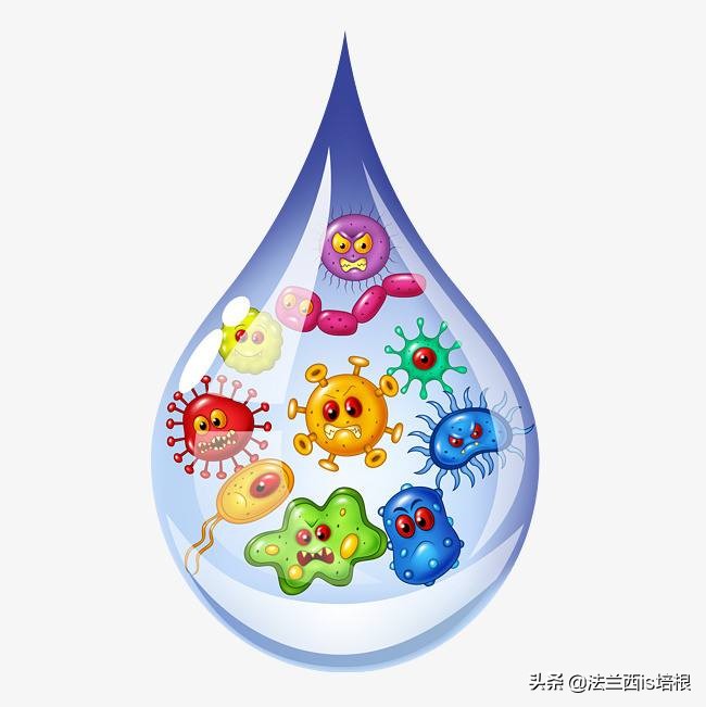 用白醋清洗花洒,用漂白水清洁厕所有没有毒