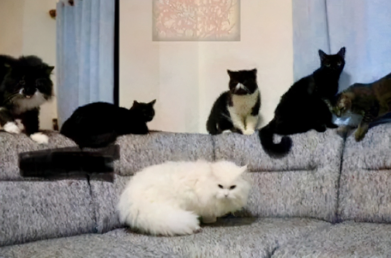 别见了胸就去点离异富婆的广告，里面全是深渊