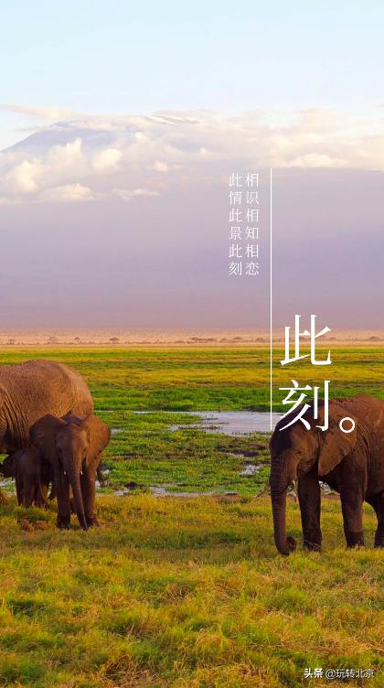 照片怎样制作更好看呢,怎么把照片制作成大片感觉