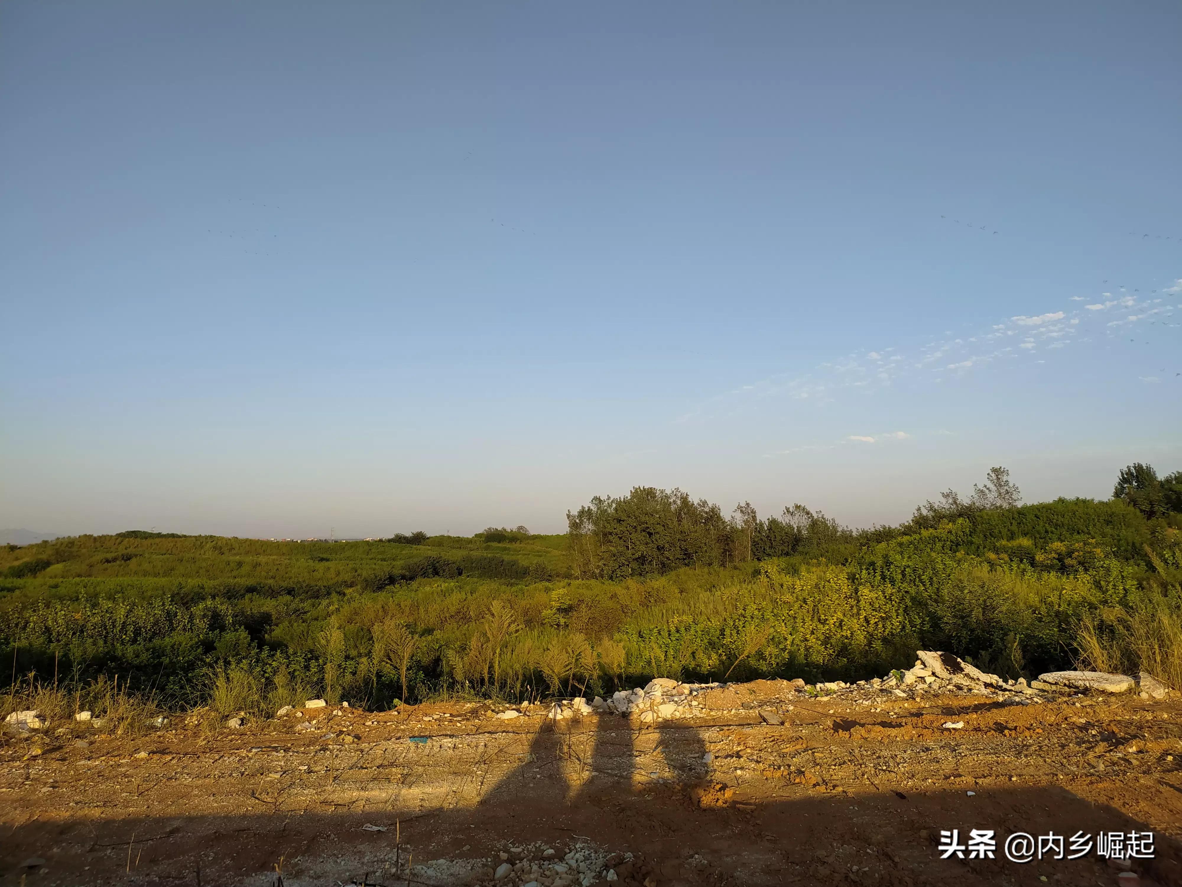 内乡牧原食品产业城,走进牧原肉食品