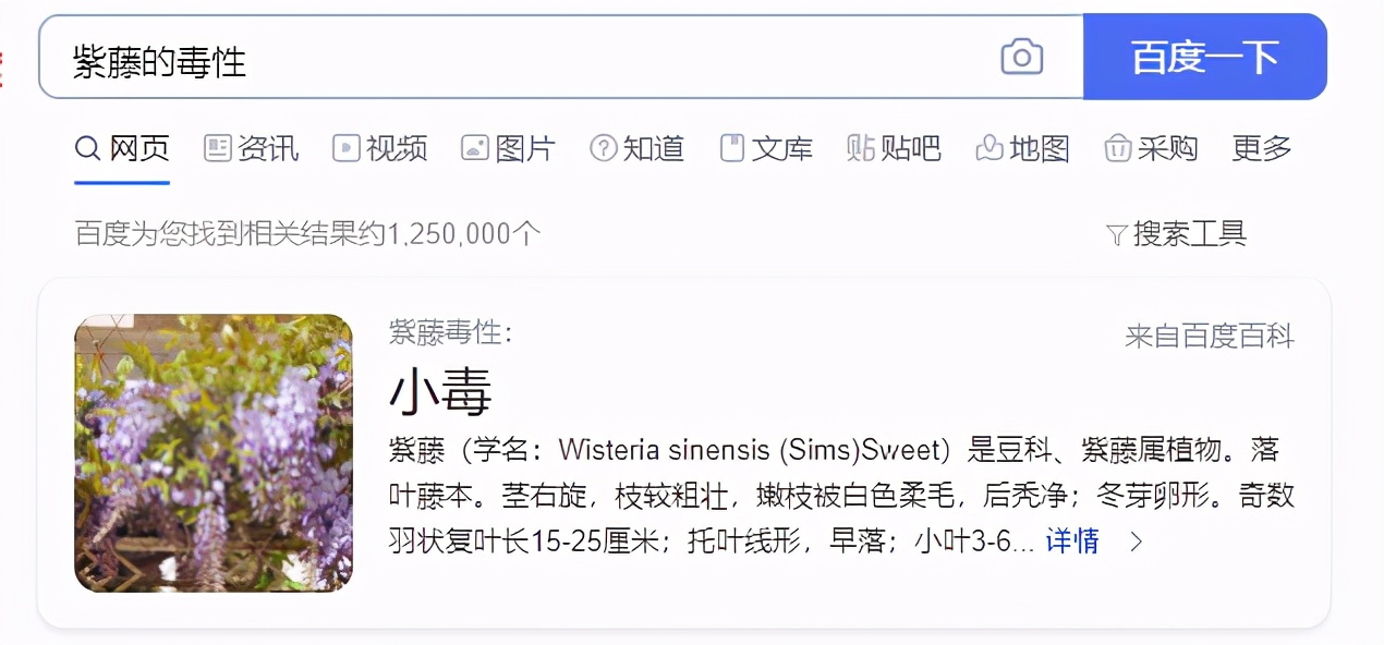 什么蜜源蜜蜂最好养,养蜜蜂的蜂洞哪种比较好