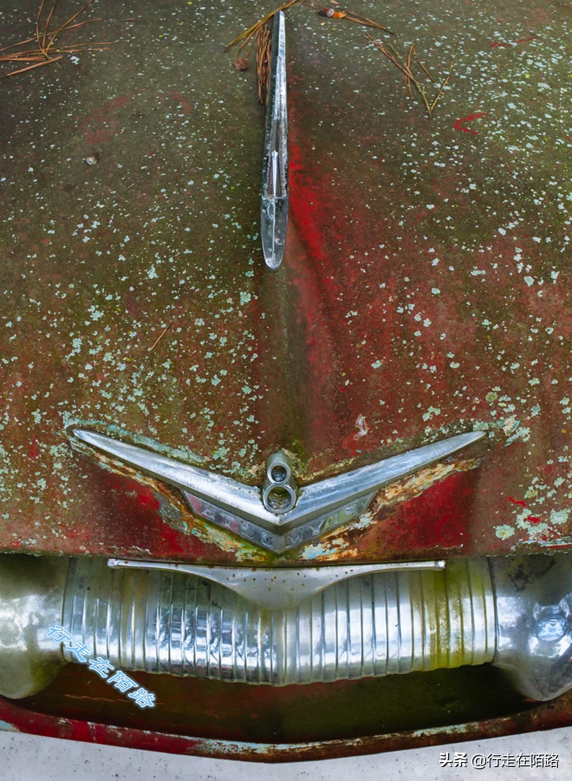 最值钱的废品,最值钱的废品回收