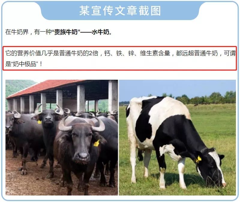 牛奶羊奶骆驼奶哪个养胃,牦牛奶牛奶羊奶骆驼奶哪个奶更好