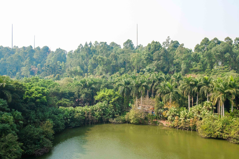 离广州长隆最近的海滩景点,长隆海洋世界王国必打卡景点