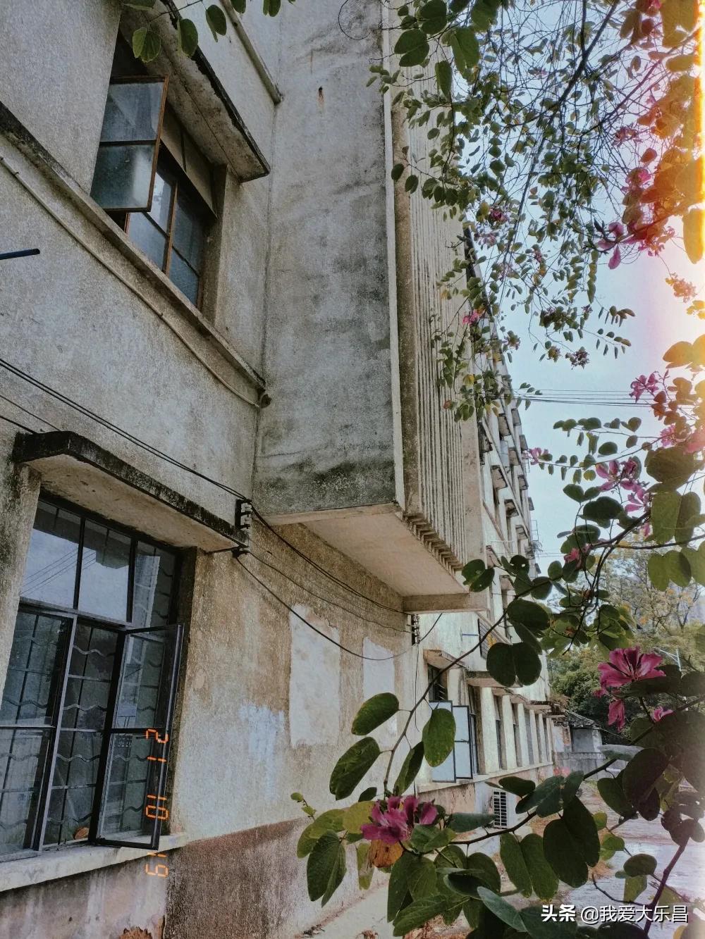 乐昌市棉纺厂历史,乐昌市最老的纺织厂