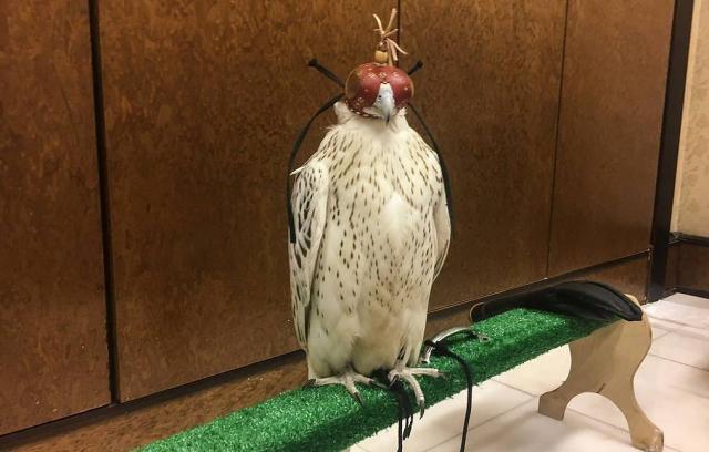 古玉海东青玉器,古玉海东青和田玉