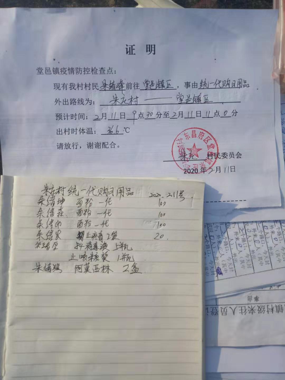 疫情下的农村入党宣誓,疫情下的农村风景