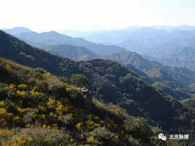 画说回龙观,北京最漂亮的森林公园