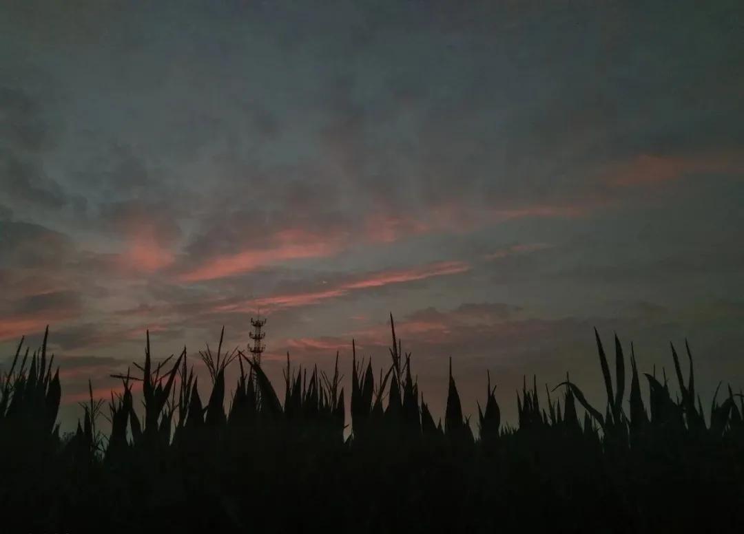 知云时代教育,知云时代教育学院