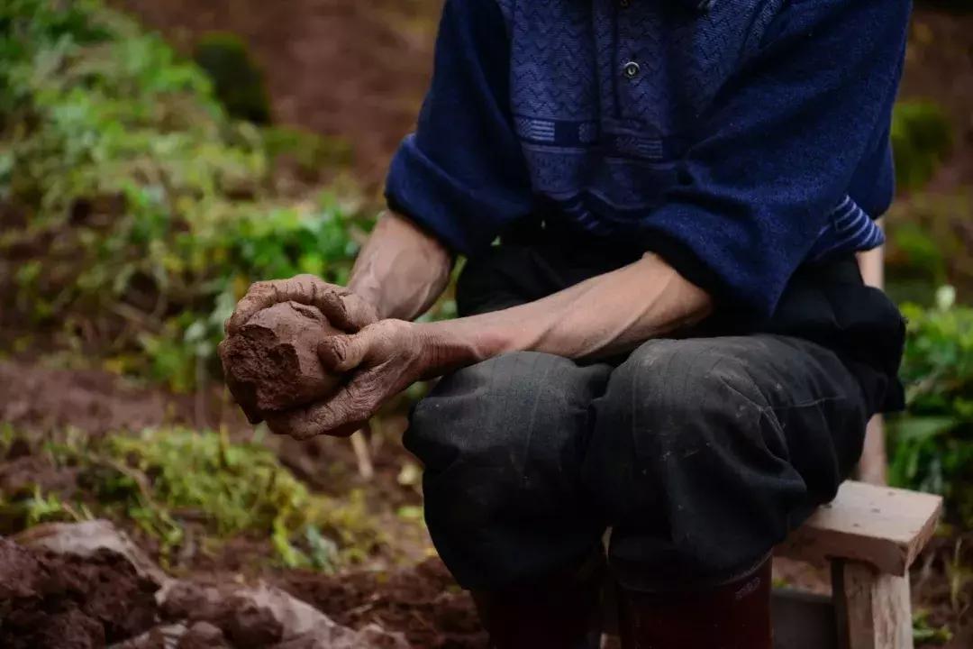 关于寒食的诗句10首,十首经典寒食诗