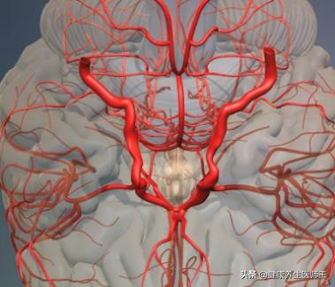 生命健康有哪些方面,临床症状脑血栓形成