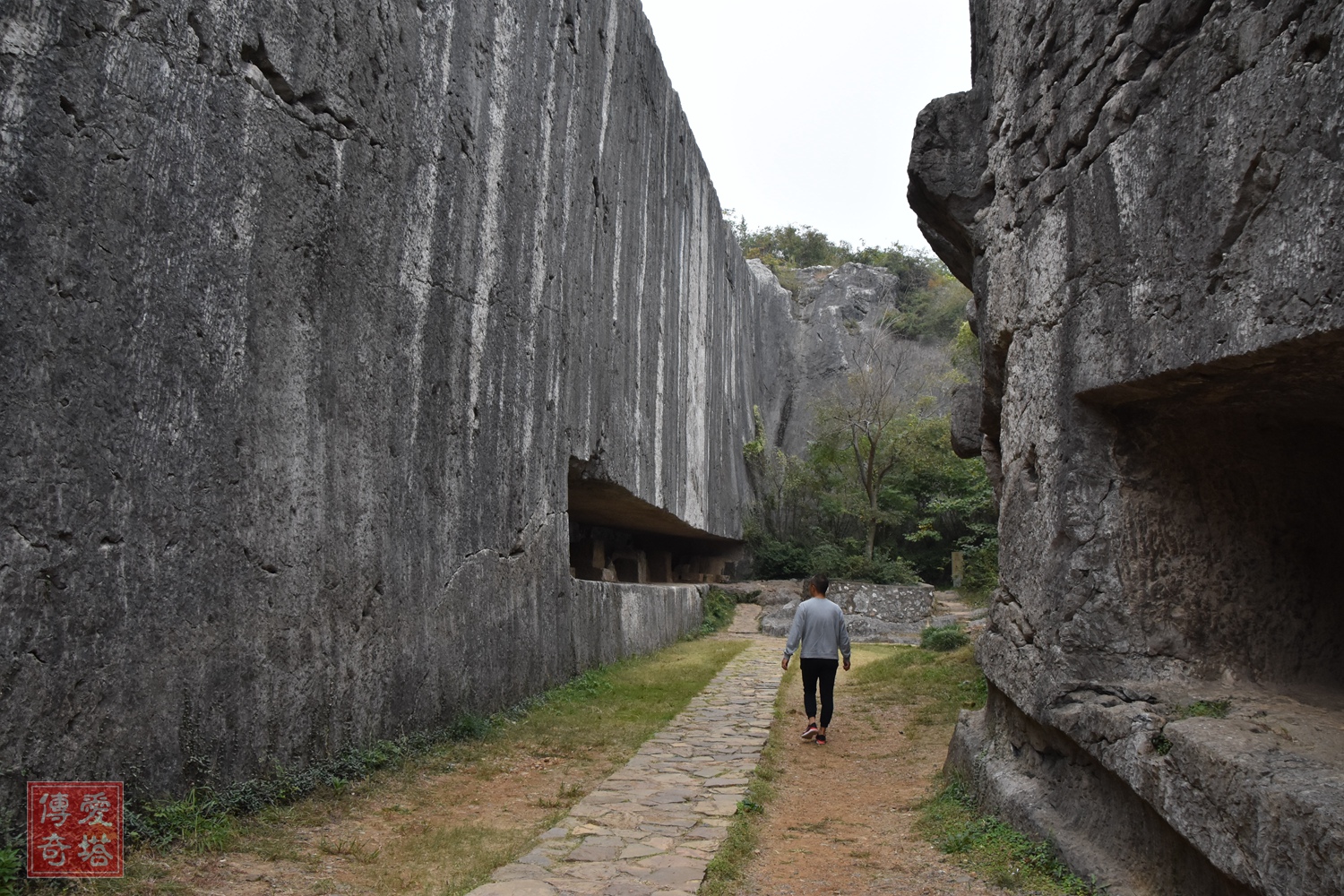 2020年经典电视剧有哪些,2020年将要播出的电视剧有哪些