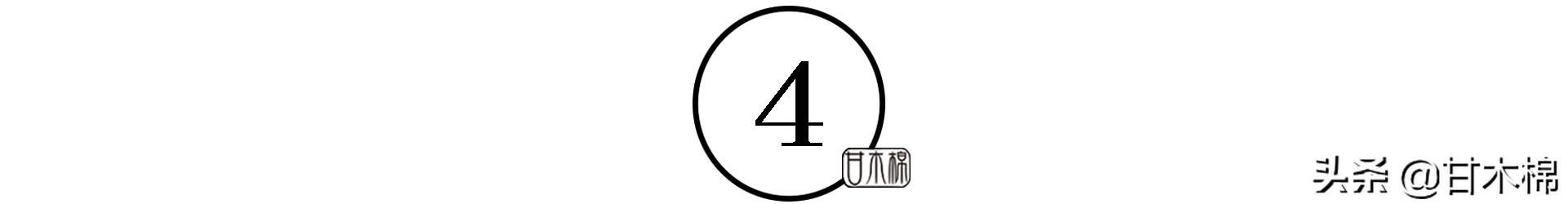 童年野果子,儿时的野果子总让人回味无穷