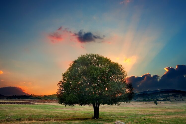 小区业主四资(资产、资源、资金、资料)清查专题