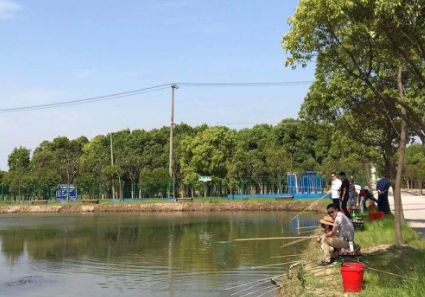 小龙虾用什么饵最好钓,钓小龙虾用什么饵最有效