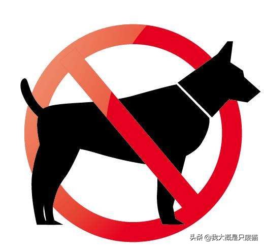 养狗人怎么防止狗狗咬人,狗狗咬人怎么说让狗狗不咬人呢