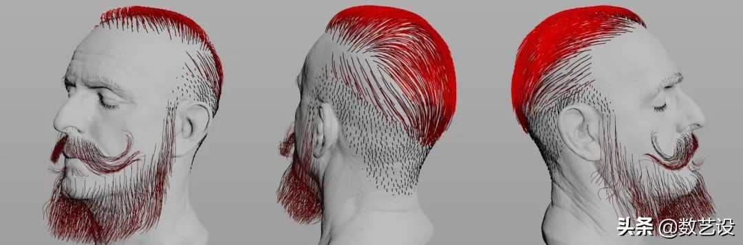 脱发过程3d动画,脱发有救了