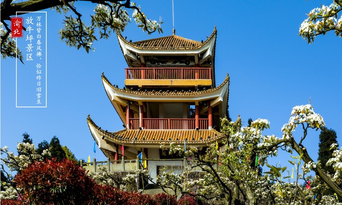 渝北周边采摘推荐,渝北茨竹附近采摘园