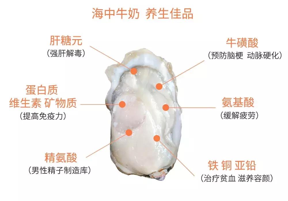 牡蛎，餐桌上的健康“百宝箱”