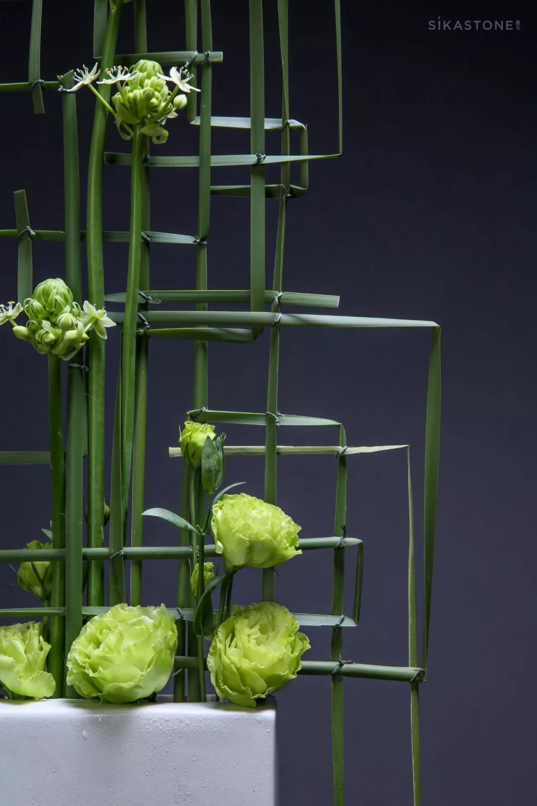 了不起的发明主题目标,了不起的发明主题环创