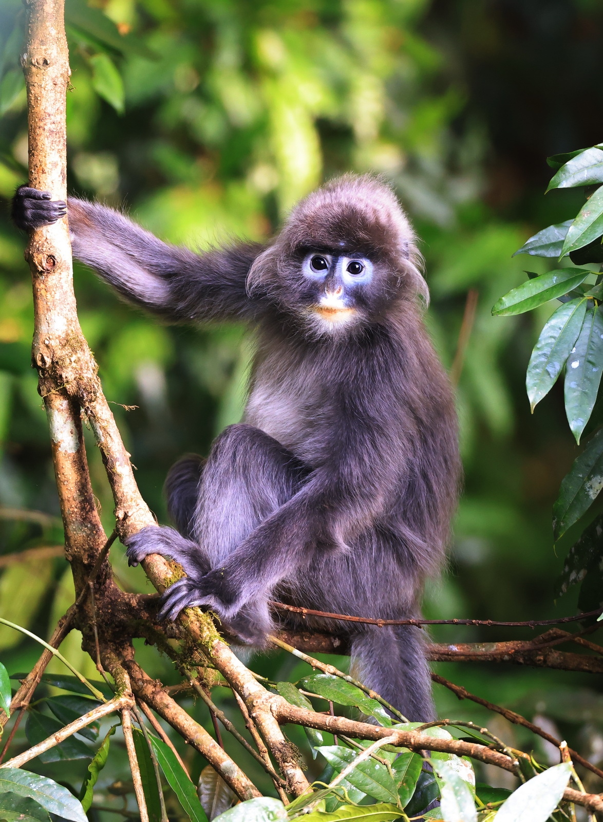如何用eosr5拍摄视频,eosr5摄影