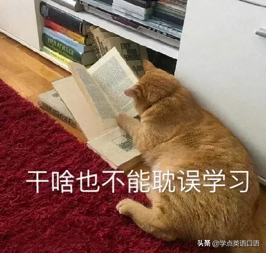 大片是什么电影,大片bigshot