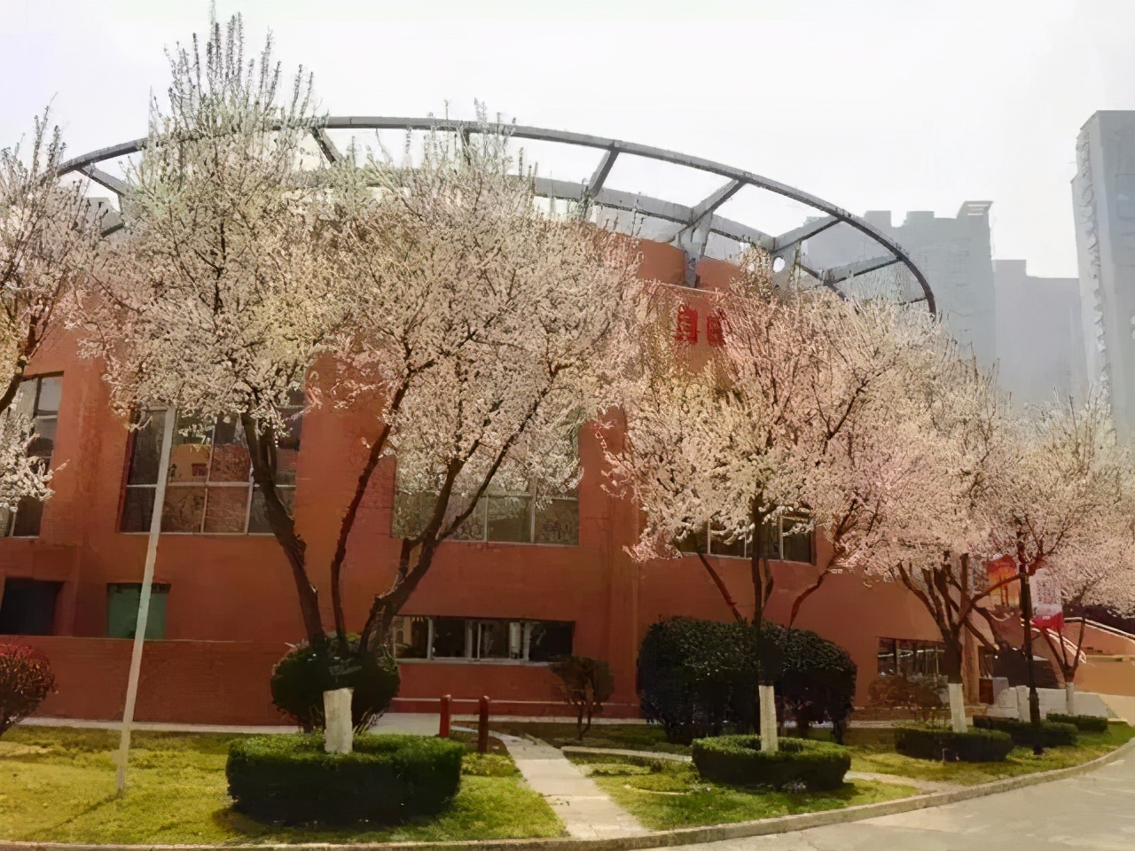 在西安读书是什么样的体验,在西安高中怎么选择