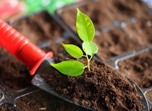 常见人工增甜剂,增甜剂哪种最好