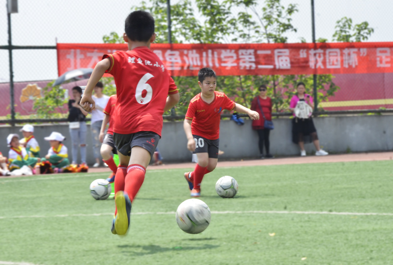北大资源鲤鱼池小学校园足球赛开赛学子驰骋绿茵场尽显拼搏精神